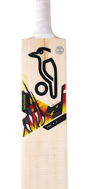 Cricket Bat