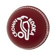 Crown Cricket Ball