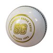 Menace Cricket Ball
