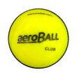 Safety Club Cricket Ball