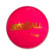 Safety Club Cricket Ball