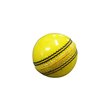 Indoor Cricket Ball