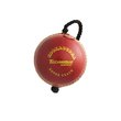 Super Coach Technique Leather Cricket Ball