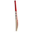 Astro 1300 Bat (24/25)