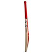 Astro 650 Bat (24/25)