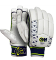 Test Batting Gloves (22/23)