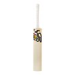 Glenn Maxwell Beast Players Replica Bat (24/25)