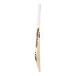 Glenn Maxwell Beast Players Replica Bat (24/25)