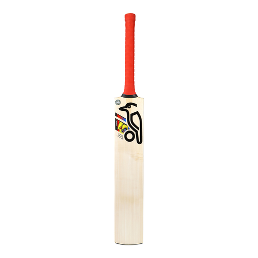 Beast Pro 2.0 Junior Bat (24/25)