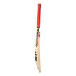 Beast Pro 2.0 Junior Bat (24/25)