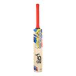 Beast Pro 2.0 Junior Bat (24/25)