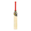 Beast Pro 9.0 Kashmir Bat (24/25)