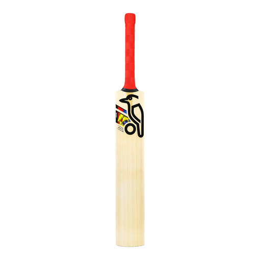 Beast Pro 9.0 Kashmir Bat (24/25)