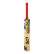 Beast Pro 9.0 Kashmir Bat (24/25)