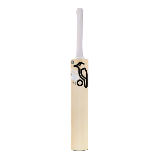 Ghost Pro 1.0 Bat (24/25)