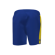 Men's Training Shorts