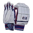 Signature Batting Gloves (24/25)