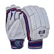 Test Batting Gloves (24/25)