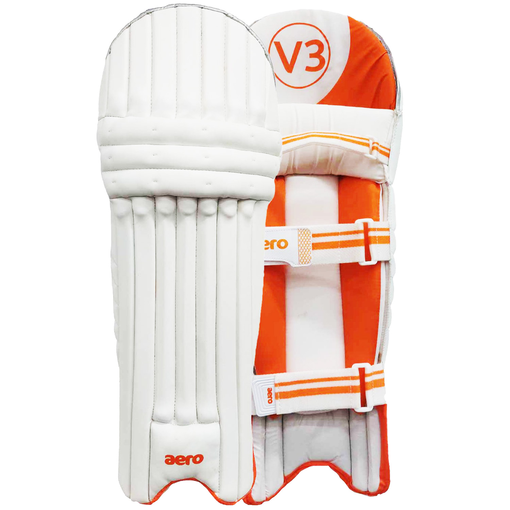 V3 Batting Pads (21/22)