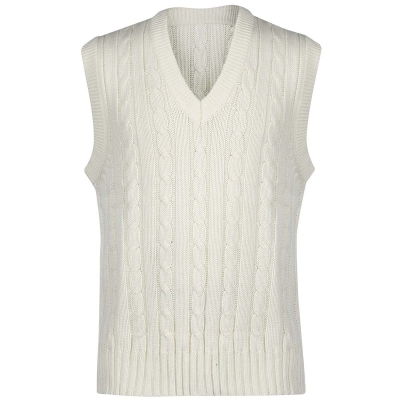 express sweater vest