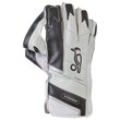 Pro Players Plus Wicket Keeping Gloves (20/21)