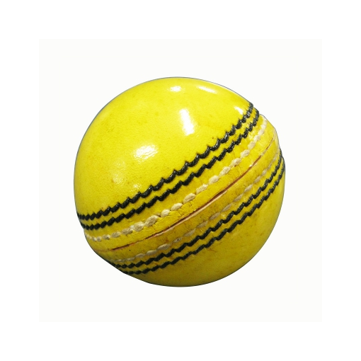 google cricket ball